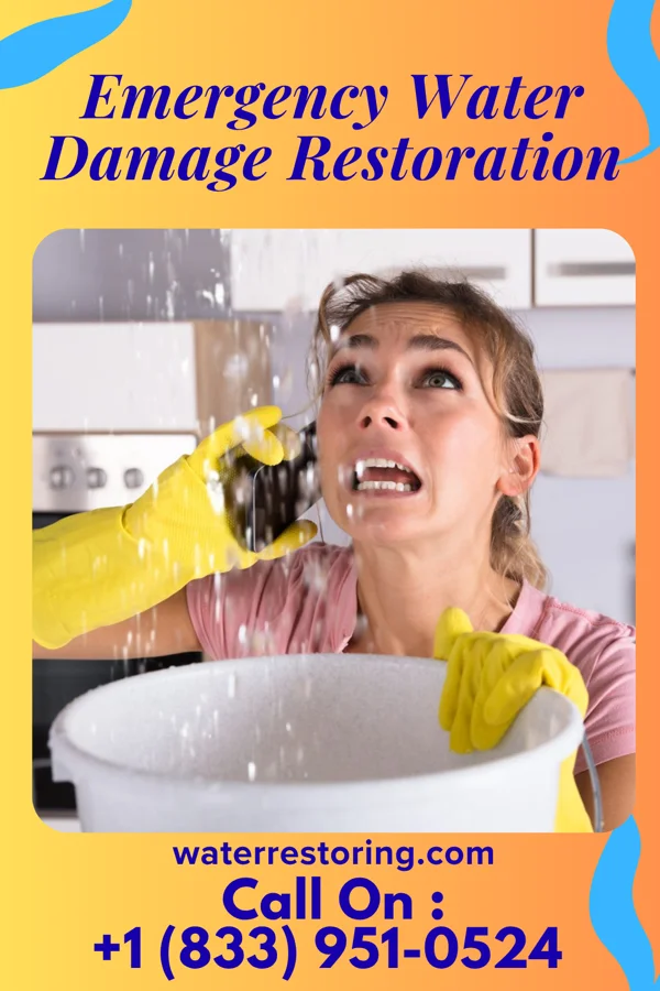 Emergency Water Damage Restoration in Gretna, FL