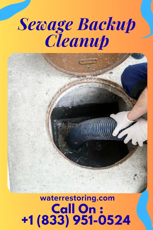 Sewage Backup Cleanup in Gretna, FL